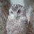 Photo of LaraD05
