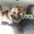 Photo of CherylO75