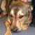 Photo of Doren B