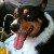 Photo of ozbu