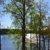 Photo of Okie1282