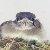 Photo of BarkingBird
