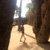 Photo of clairek264