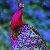 Photo of SeptemberSong906