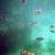 Photo of Snorkelweeds