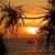 Photo of JoAnn R