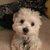 Photo of 908alannaj