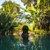 Photo of melizzamac
