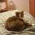 Photo of Brenda L