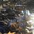 Photo of Eleta82