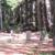 Photo of 10sJohn
