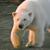 Photo of Arctictravler