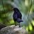 Photo of BeingThereNow