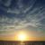 Photo of Sofuninthesun