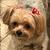 Photo of Mel E