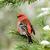 Photo of Proby75