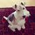 Photo of Asta365