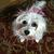 Photo of Gilbygirl