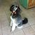 Photo of O1483PXterrys