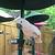 Photo of heidis7076