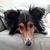 photo of ediegretchen