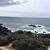 Photo of H2198LLdeborahc