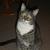 Photo of prettykitty1966