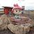 Photo of wntrfairy