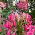 Photo of sue53076