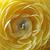 Photo of EastCoasttraveler85