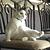 photo of Bubby3421