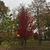 Photo of rle300