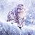 Photo of alicen978