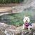 Photo of punkin3536