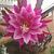 Photo of 744evelyna