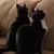 Photo of sweetgin56