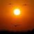 Photo of dawnj1269