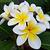 Photo of beryl_be