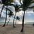 Photo of Krissy1008