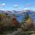 Photo of danielaI6579BU