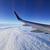 Photo of motlyflyer