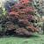 Photo of tinabC1734NH