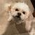 Photo of 860suzyl