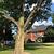 Photo of D8159OItomc