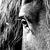 Photo of Earlicious1027
