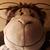 Photo of Dmonkey414
