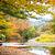 Photo of stevee720