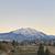 Photo of 878sherip