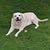 Photo of ReadyEddie2