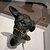 Photo of Daniel_SD
